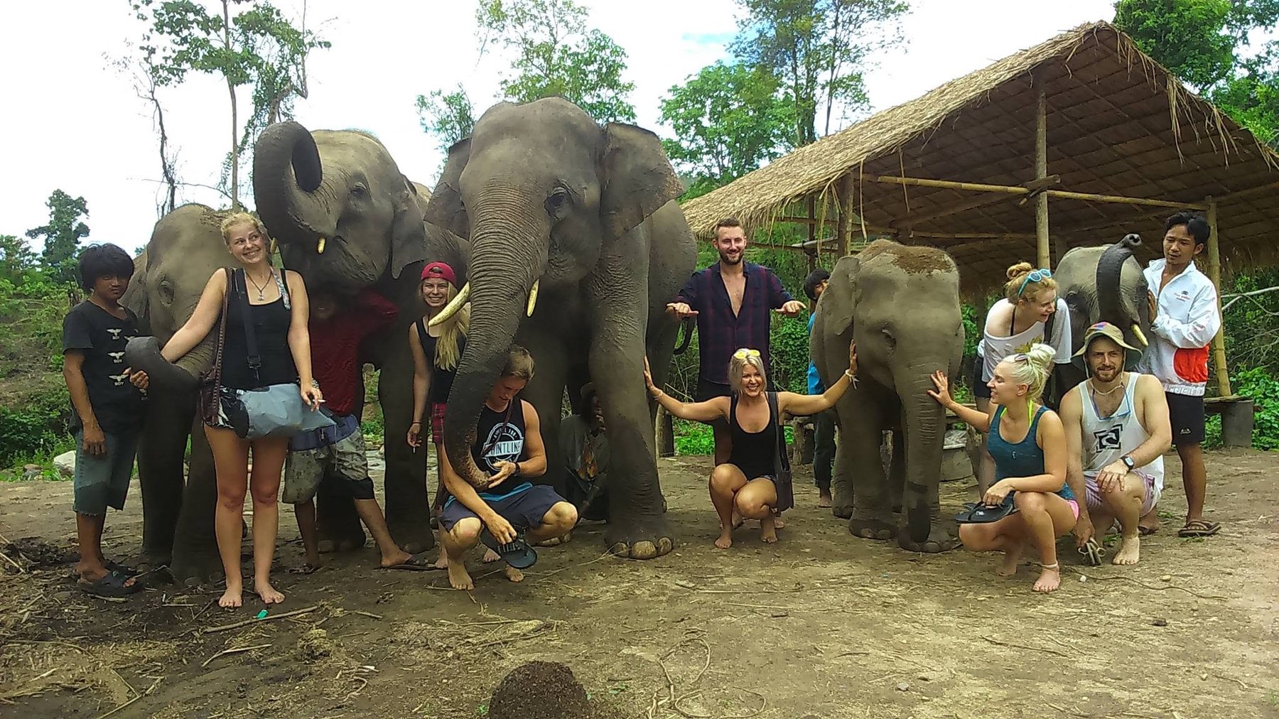 Visitors and mahouts with a herd of elephants at the sanctuary near Chiang Mai